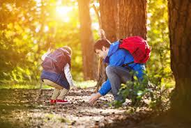 nature hike in the woods